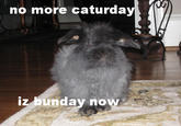 Internet Theme Days