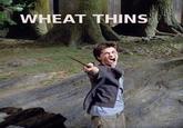 Wheat Thins
