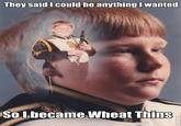 Wheat Thins