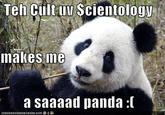 Sad Panda