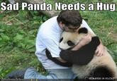 Sad Panda