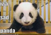 Sad Panda