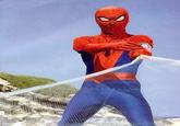 Toei Spider-Man / Spy Darma