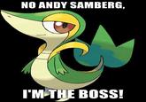 Smugleaf / Snivy