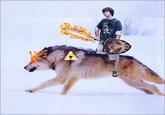 Wolf shirt kid