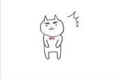 Eyebrow Cat (眉毛猫)