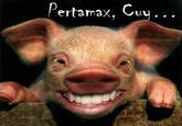 Pertamax