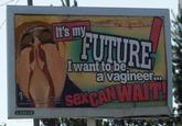 Vagineer