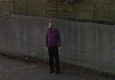 Horse Head Mask