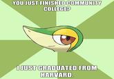 Smugleaf / Snivy