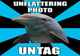 Social Networking Dolphin