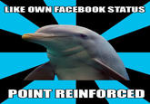 Social Networking Dolphin
