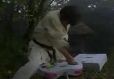 Segata Sanshiro