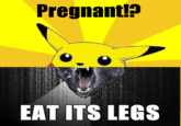 Combo Dog