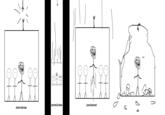 Troll Science / Troll Physics