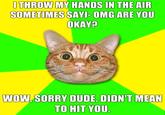 I Throw My Hands Up In The Air Sometimes Saying Ayo