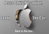 JESUS CHRIST IT'S A LION GET IN THE CAR!