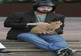 Starecat / Grafics Cat