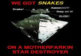 Snakes on a Plane