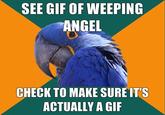 Don't Blink "The Weeping Angels"