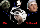 Die Antwoord