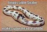 Your Head Asplode