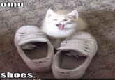 Kelly Likes Shoes