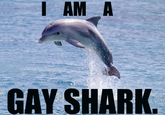 Shark Gay 85