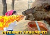Girl Yelling at Yak