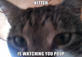 X is Watching You Y