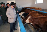 Kim Jong Il Looking At Things