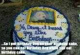 Birthday Dog