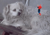 Dancing Spider-Man