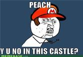 But Our Princess is in Another Castle!