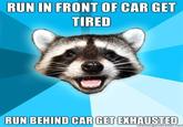 Lame Pun Coon
