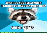 Lame Pun Coon