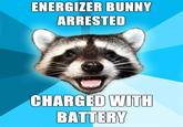Lame Pun Coon