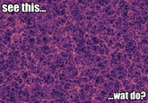 Wat Do?