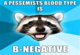 Lame Pun Coon