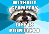 Lame Pun Coon