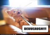 DEUUEAUGH