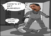 NOT THE BEES!