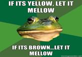 Foul Bachelor Frog
