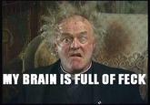My Brain is Full of F**k