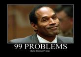 I Got 99 Problems But a Bitch Ain't One