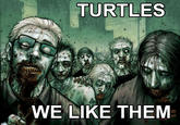 I Like Turtles