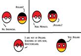 Polandball