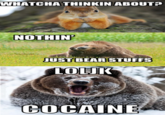 Whatcha Thinkin Bout?