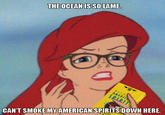 Hipster Mermaid / Hipster Ariel