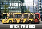 Bitch I'm a Bus